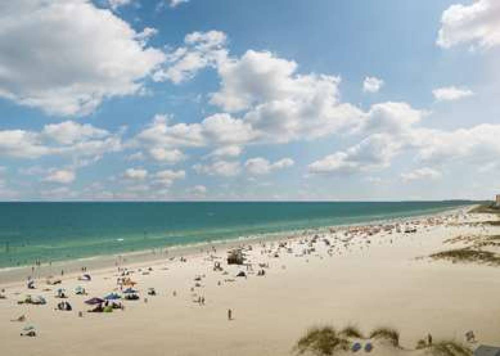 Hilton Clearwater Beach Resort &amp; Spa 6