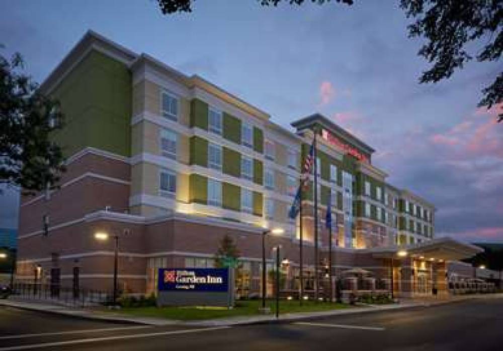 HILTON GARDEN INN CORNING NY 1