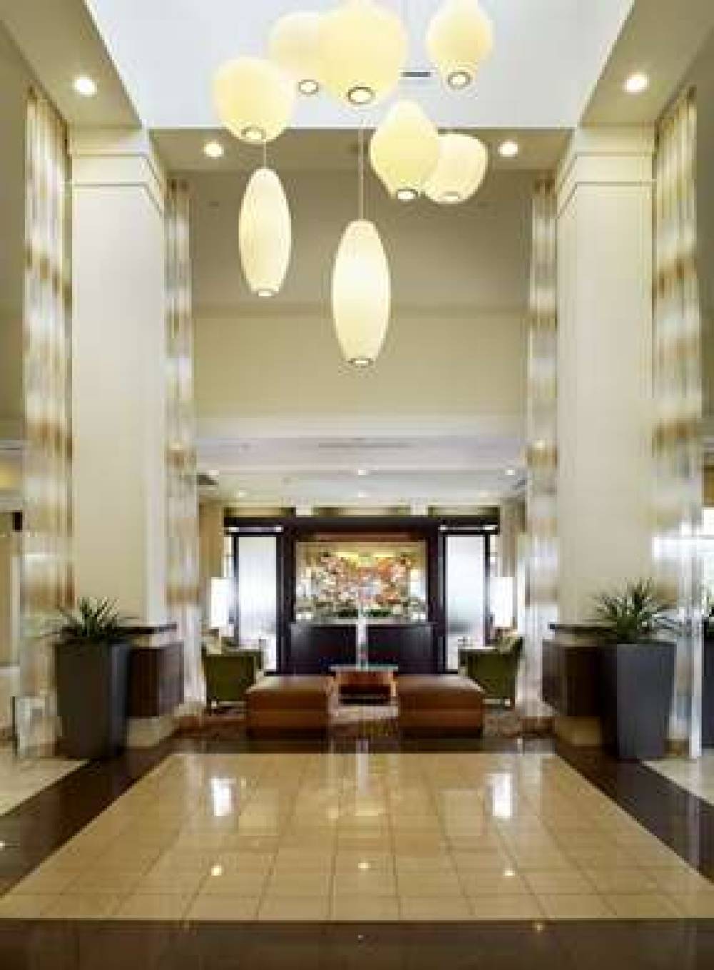 Hilton Garden Inn Dallas-Arlington 4