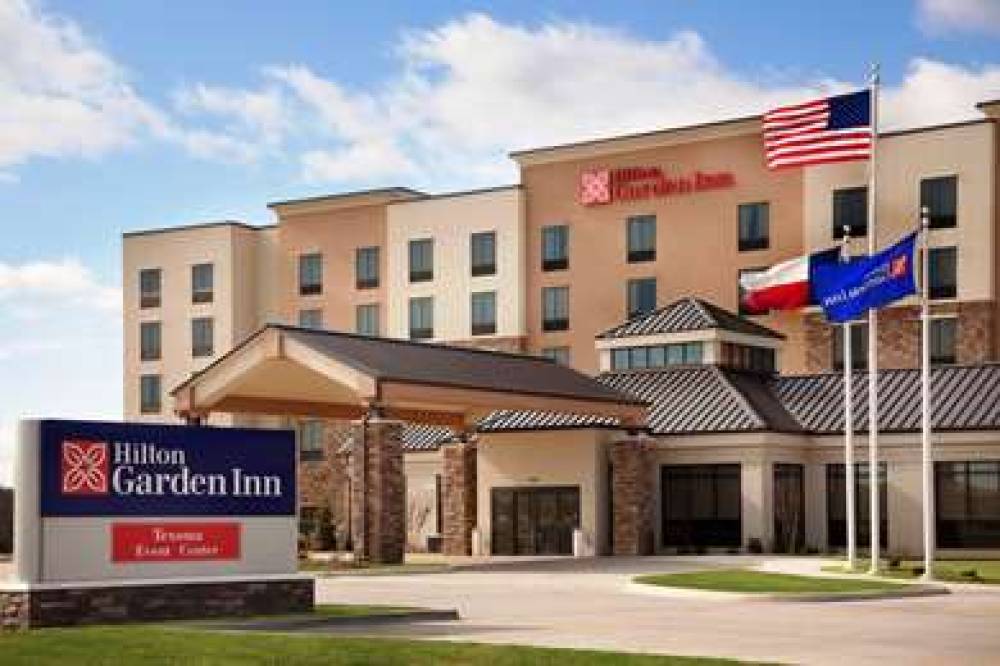 HILTON GARDEN INN DENISON/SHERMAN/A 3