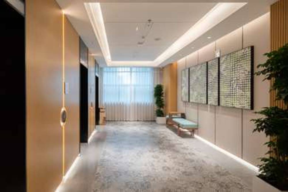 HILTON GARDEN INN NANSHAN AVENUE 7