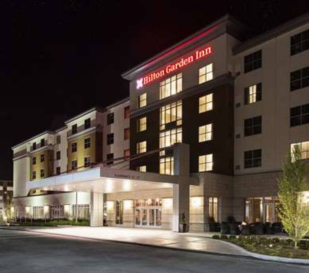 Hilton Garden Inn-Rochester/University And Medica 2