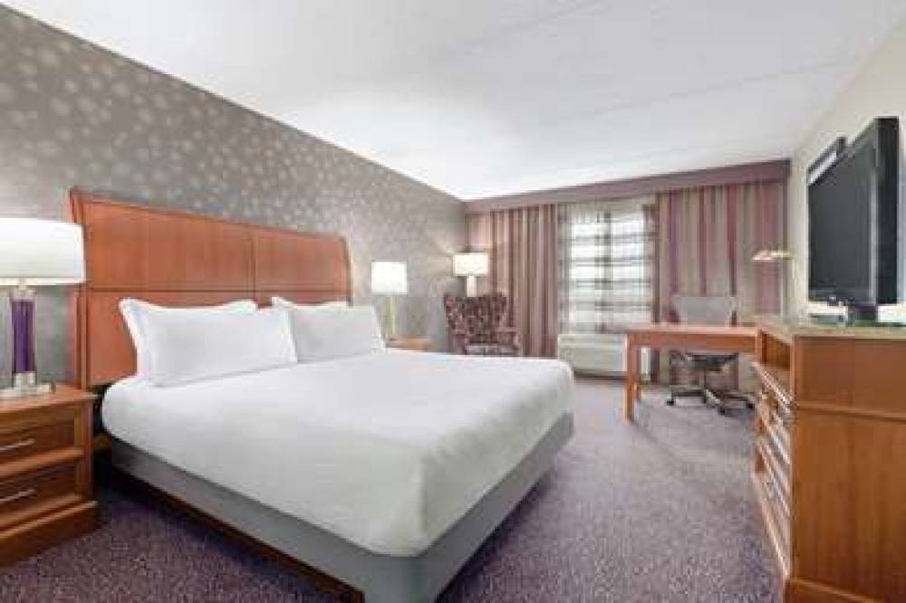 Hilton Garden Inn Springfield, MA 10