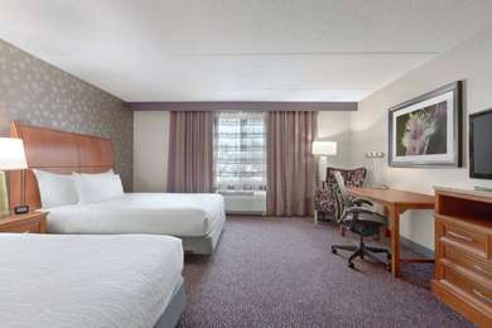 Hilton Garden Inn Springfield, MA 7