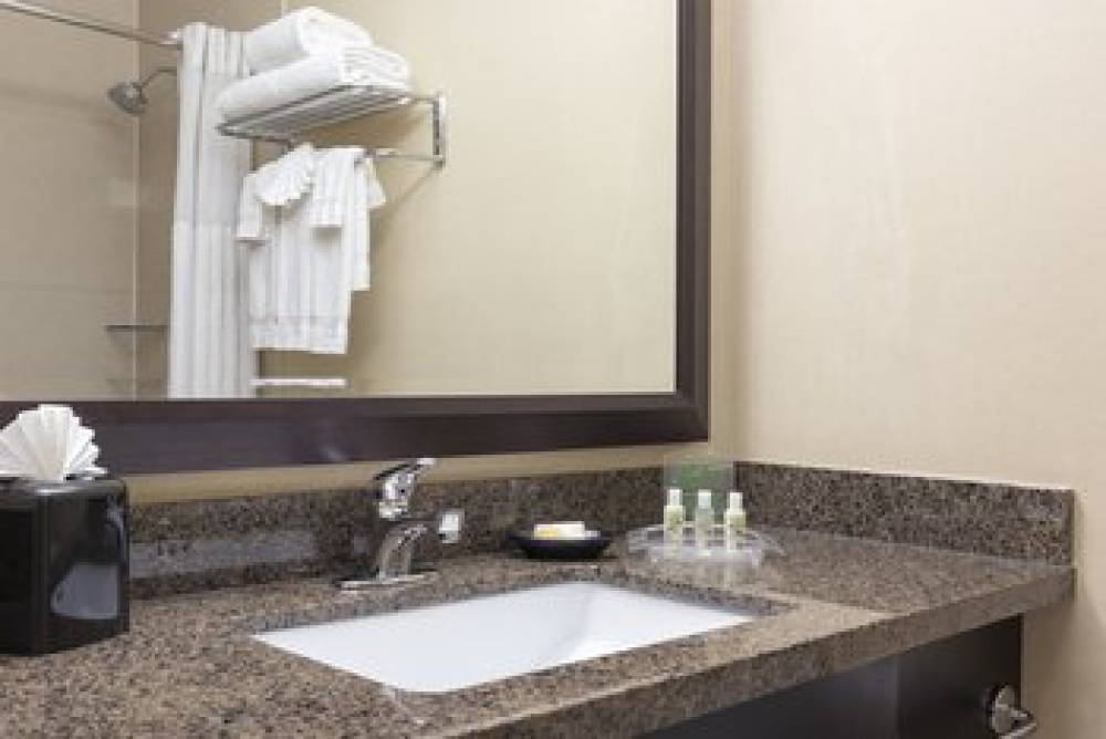 Holiday Inn CHICAGO-ELK GROVE 9