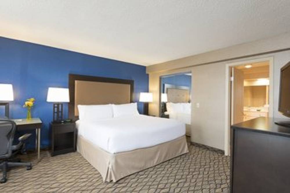 Holiday Inn CHICAGO-ELK GROVE 8