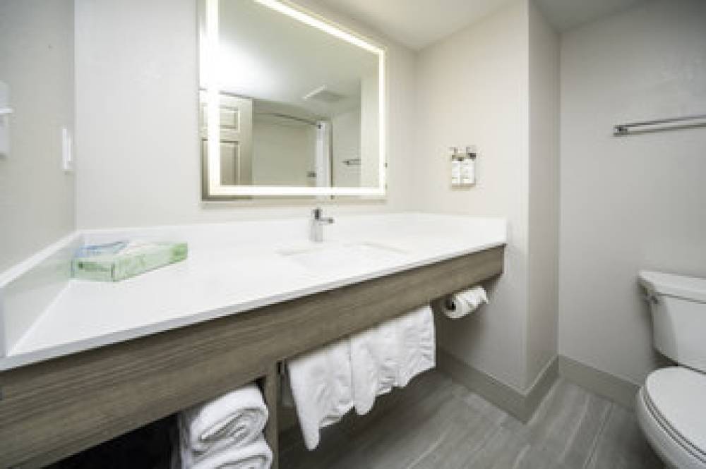 Holiday Inn Express & Suites ATLANTA-JOHNS CREEK 8