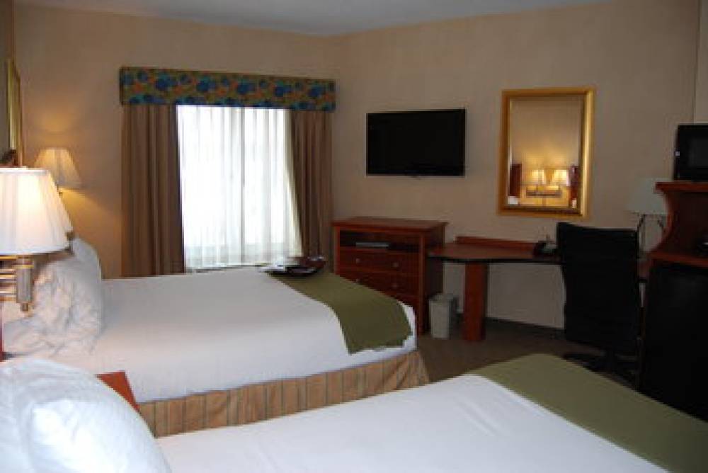 Holiday Inn Express & Suites AUBURN HILLS 2