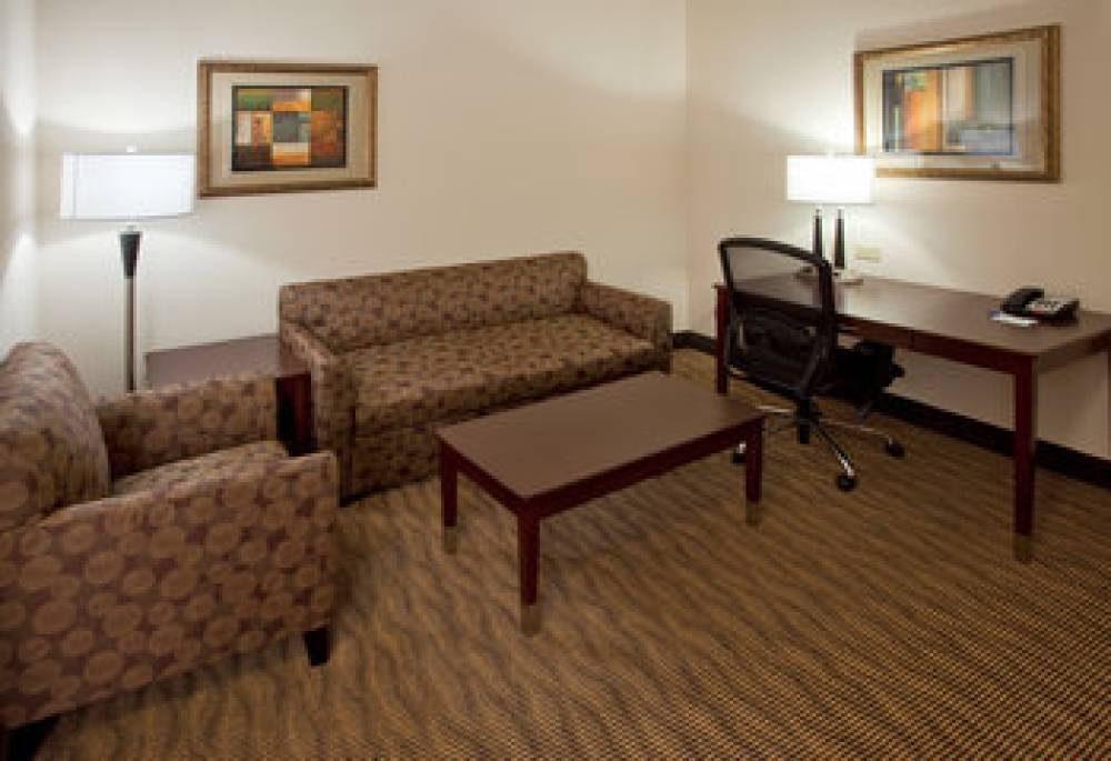 Holiday Inn Express & Suites AUSTIN SOUTH-BUDA 9