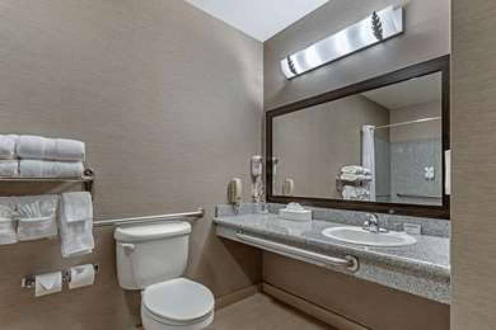 Holiday Inn Express & Suites BOISE WEST - MERIDIAN 9