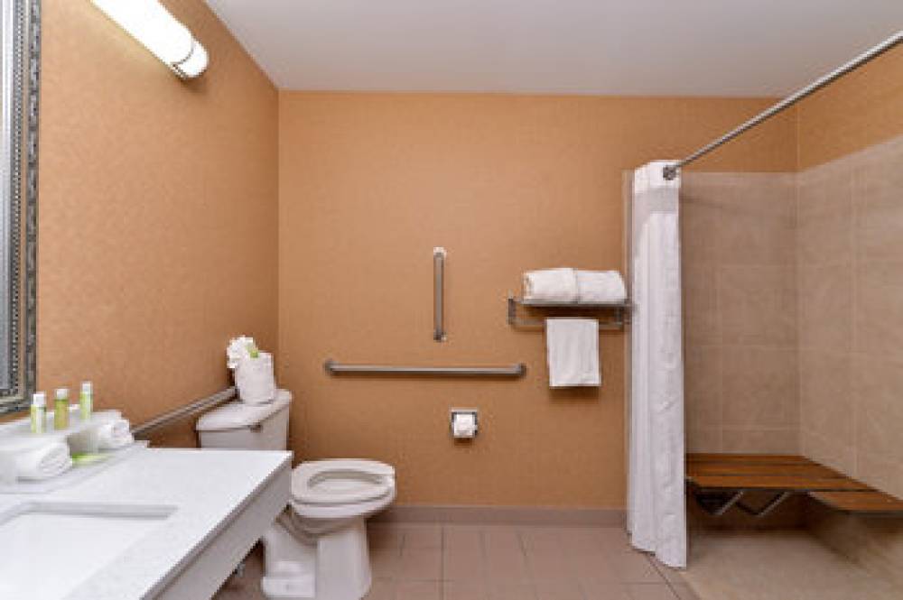 Holiday Inn Express & Suites CINCINNATI-BLUE ASH 5