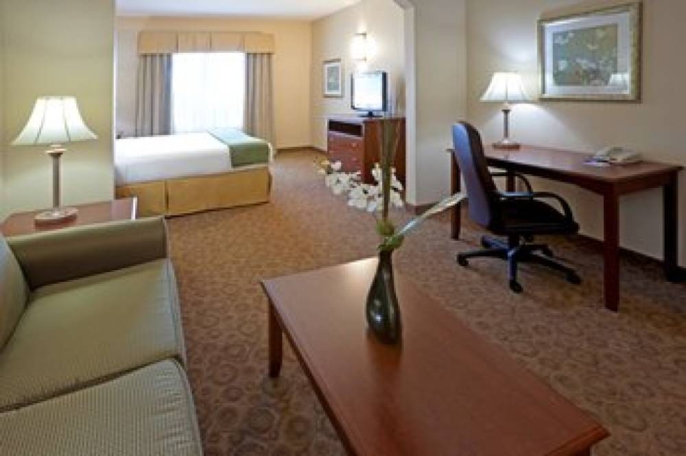 Holiday Inn Express & Suites DALLAS SOUTHWEST-CEDAR HILL 9