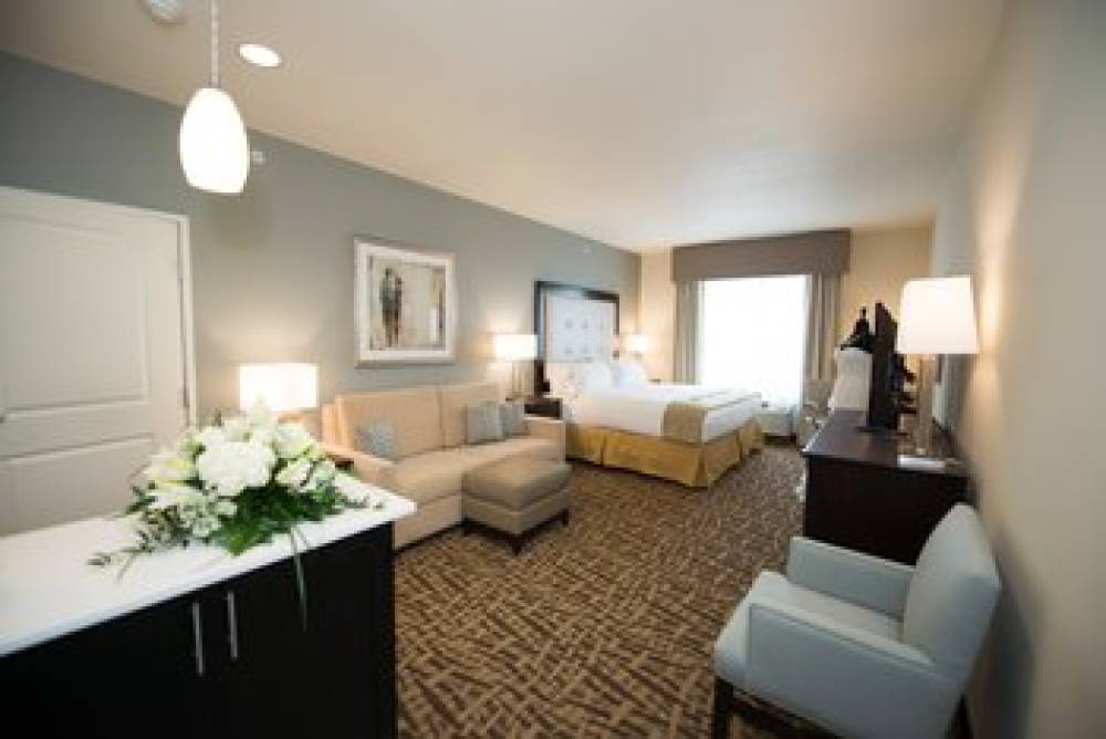 Holiday Inn Express & Suites DENVER SOUTH - CASTLE ROCK 3