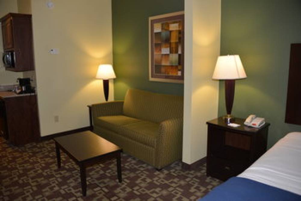 Holiday Inn Express & Suites DUMAS 2