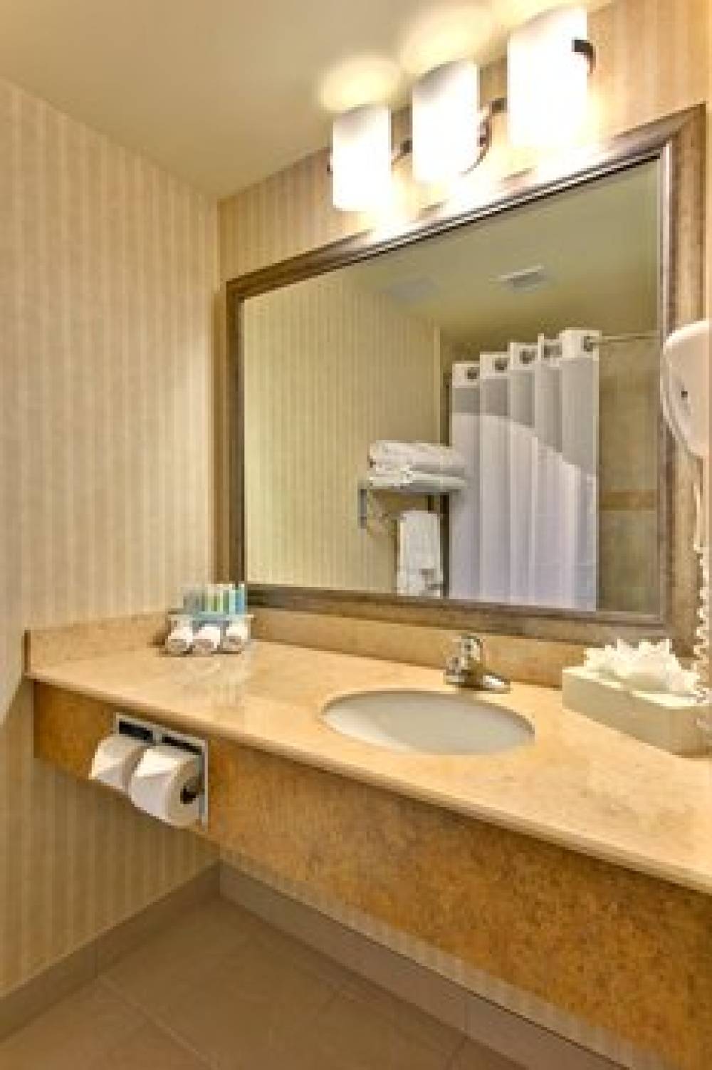 Holiday Inn Express & Suites EDMONTON SOUTH  5