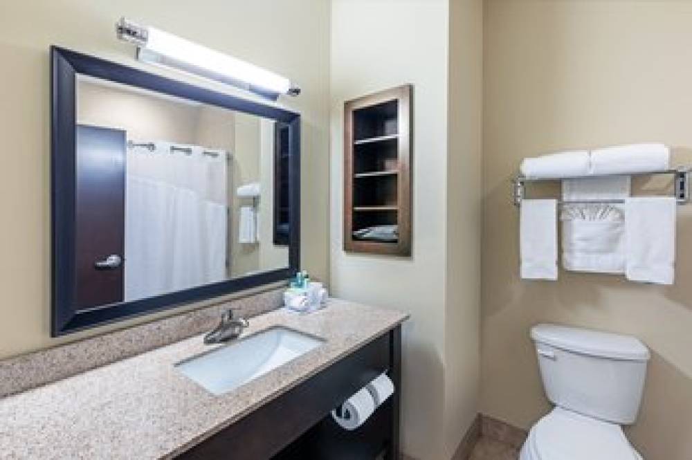 Holiday Inn Express & Suites FLORESVILLE 8