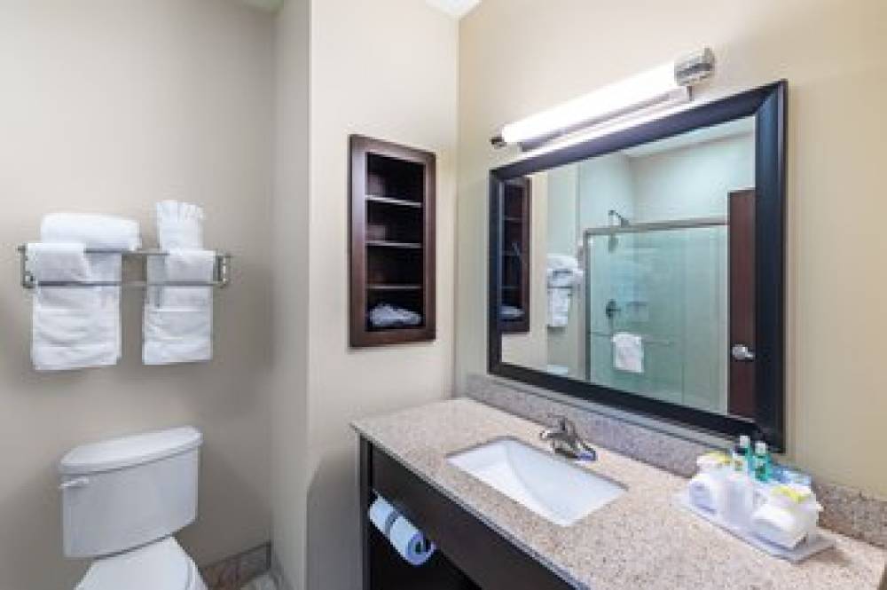 Holiday Inn Express & Suites FLORESVILLE 5