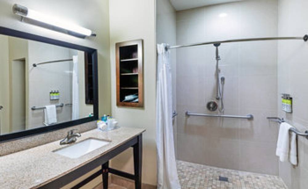 Holiday Inn Express & Suites FLORESVILLE 9