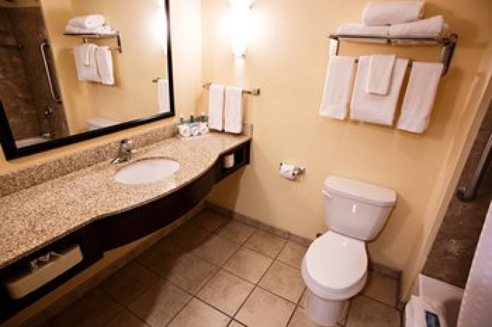 Holiday Inn Express & Suites HARRISBURG W - MECHANICSBURG 9