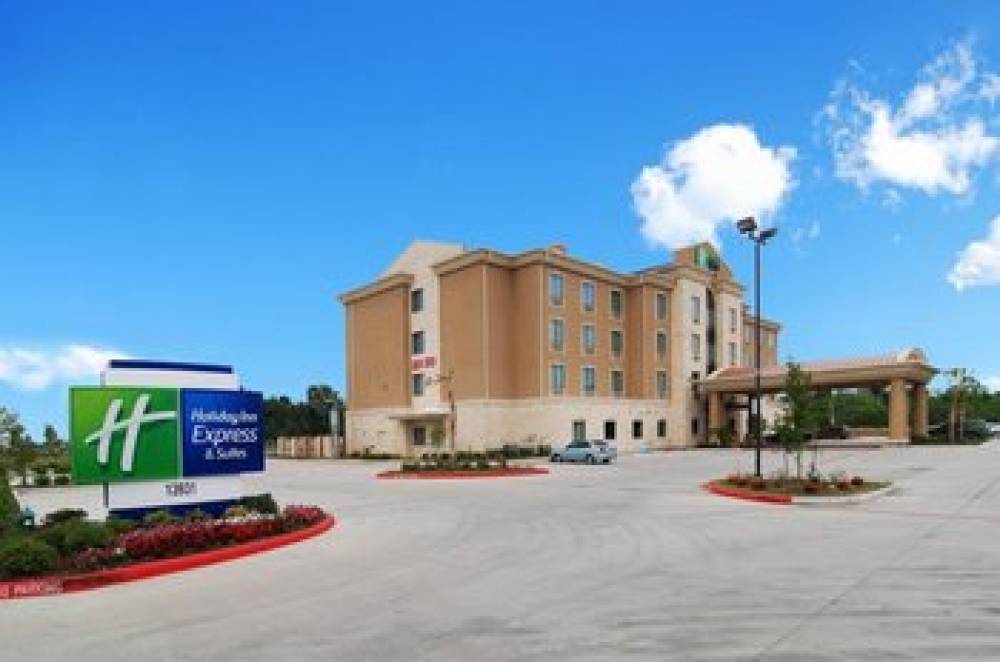 Holiday Inn Express & Suites HOUSTON SOUTH - PEARLAND 5