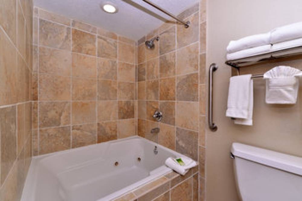 Holiday Inn Express & Suites INDIANAPOLIS W - AIRPORT AREA 7