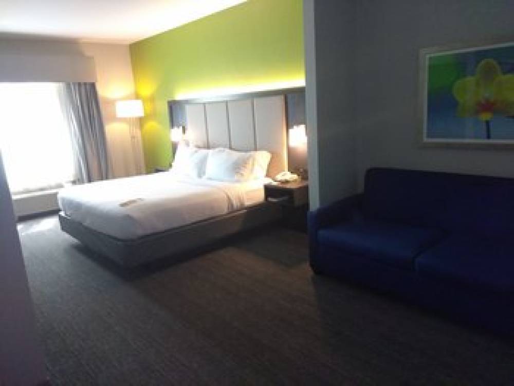 Holiday Inn Express & Suites PEARLAND 9