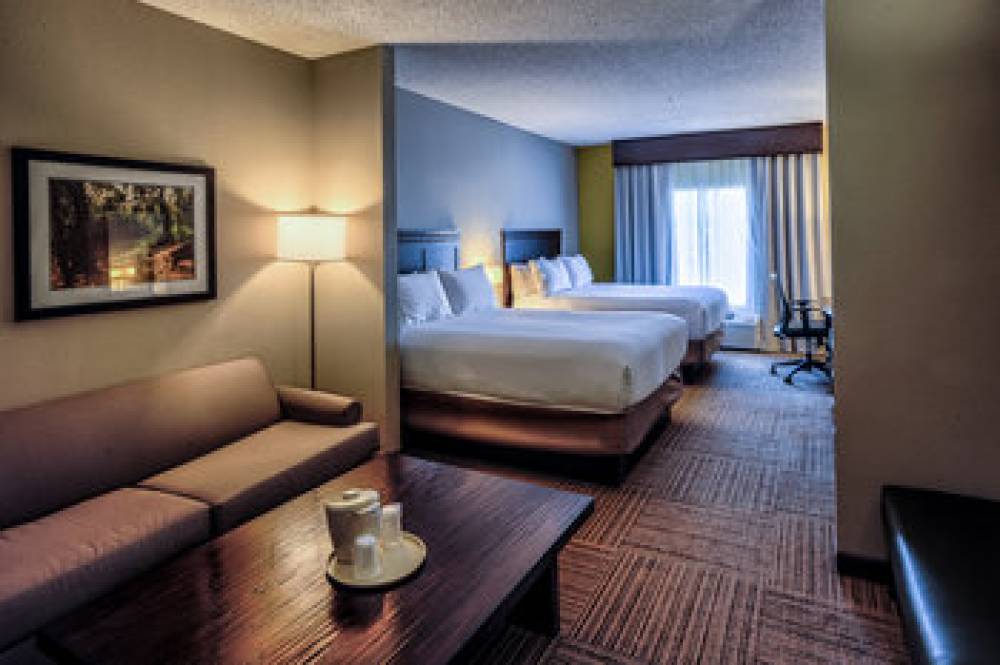 Holiday Inn Express & Suites PELL CITY 8