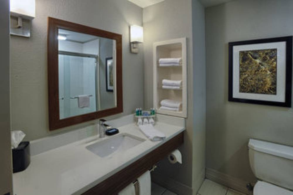 Holiday Inn Express & Suites PELL CITY 6