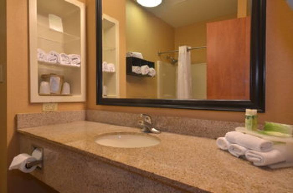 Holiday Inn Express & Suites PINE BLUFF/PINES MALL 8