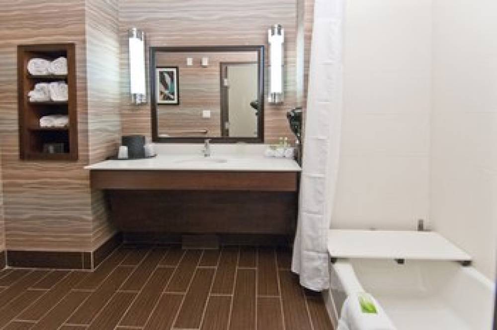 Holiday Inn Express & Suites SAN ANTONIO SE BY AT&T CENTER 10