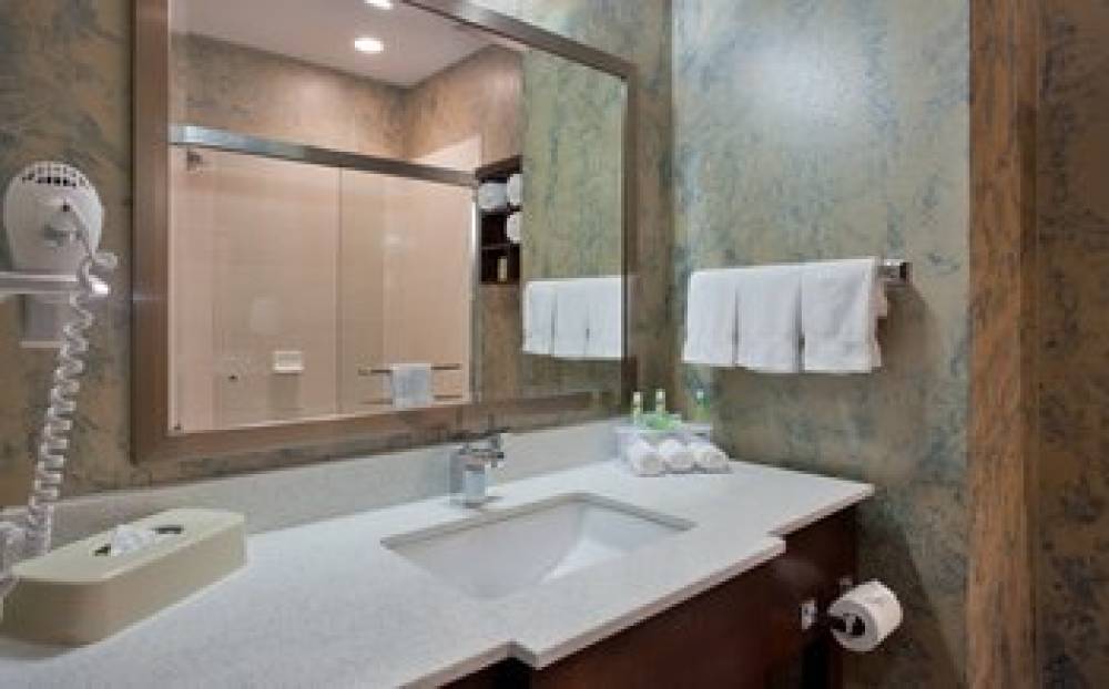 Holiday Inn Express & Suites ST LOUIS AIRPORT 8