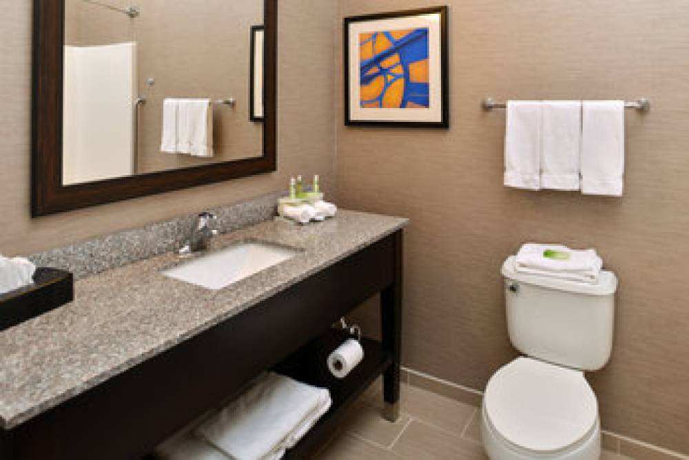 Holiday Inn Express & Suites ST. LOUIS WEST-O'FALLON 4