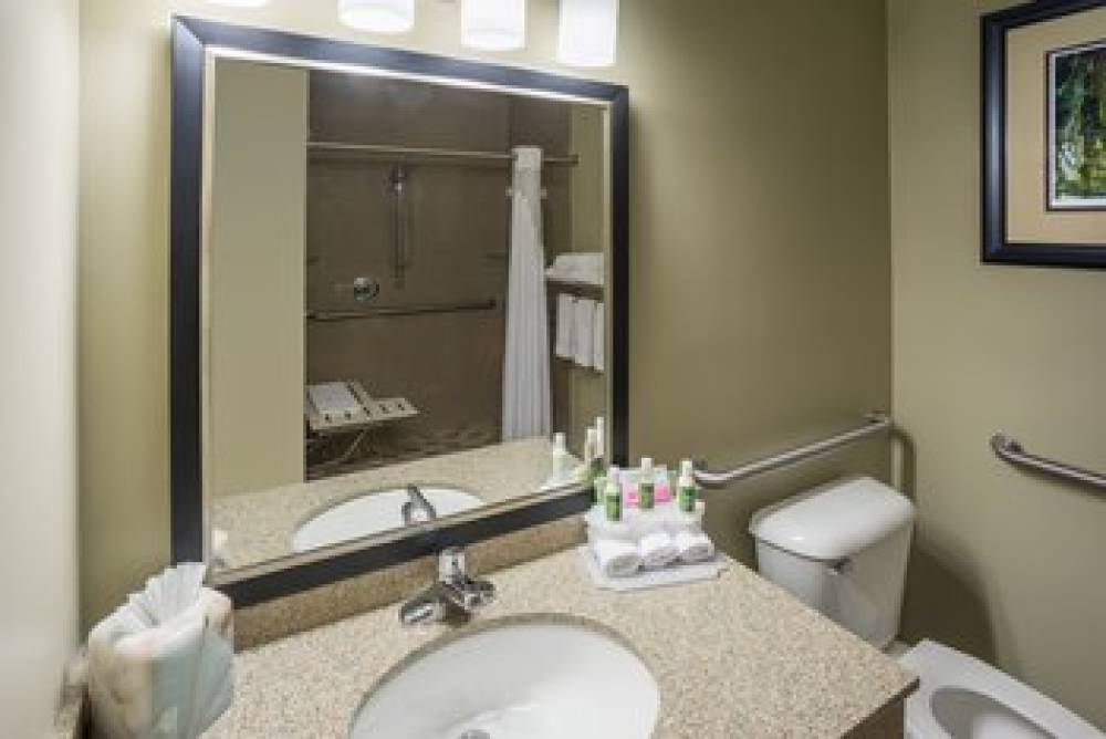 Holiday Inn Express & Suites ST. PAUL - WOODBURY 7