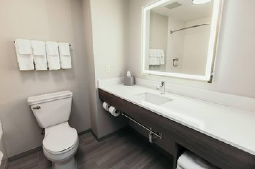 Holiday Inn Express & Suites URBANDALE DES MOINES 8