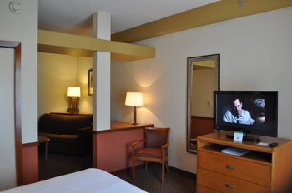 Holiday Inn Express WILLIAMSTON 4