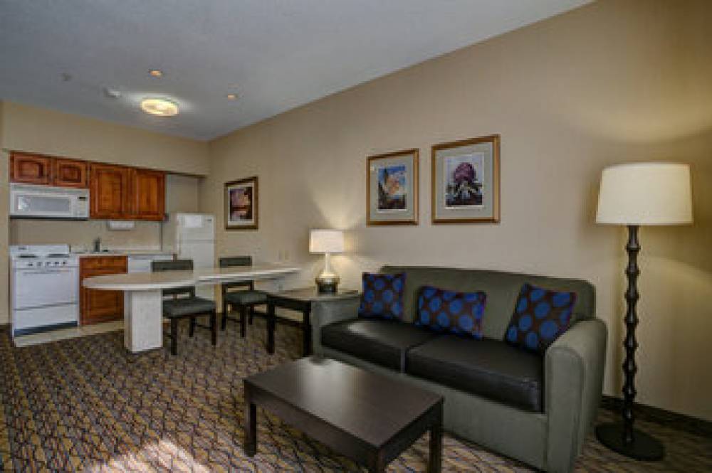 HOLIDAY INN HTL AND SUITES APT 8