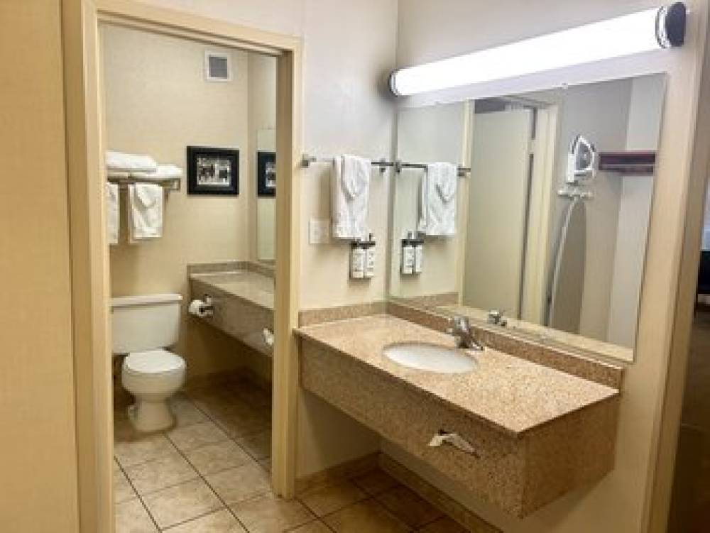 Holiday Inn SPEARFISH-CONVENTION CENTER 10