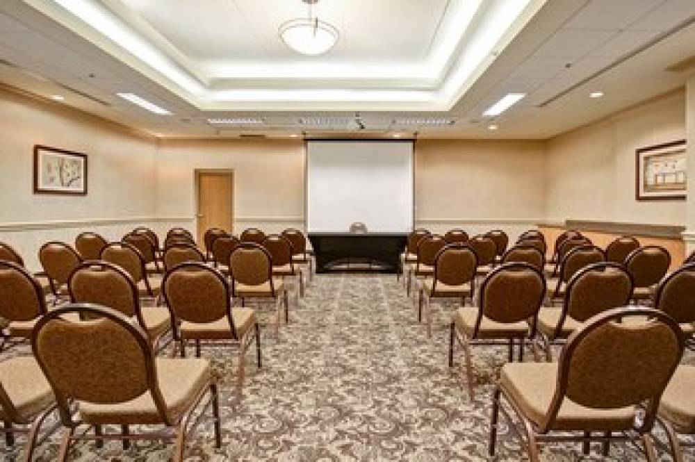 Holiday Inn & Suites WINDSOR (AMBASSADOR BRIDGE) 2