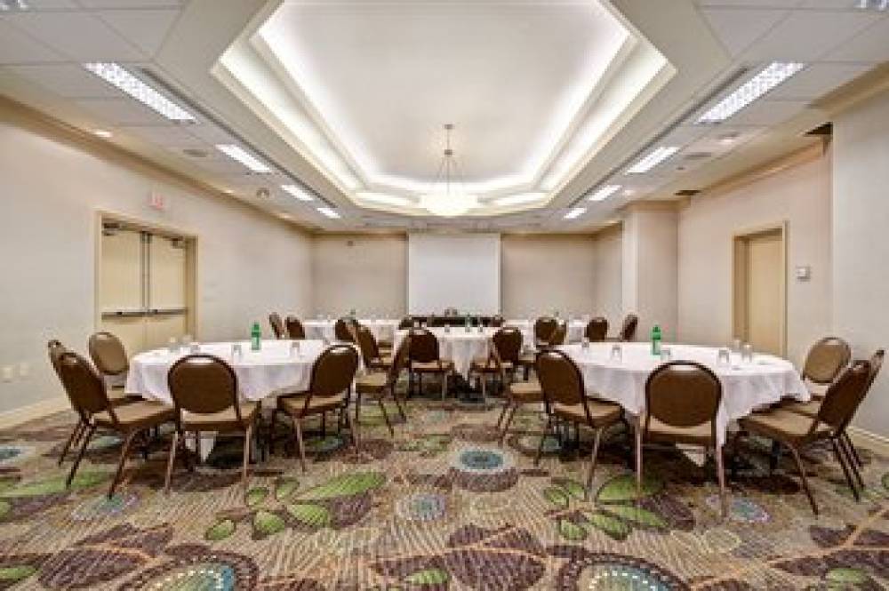 Holiday Inn & Suites WINDSOR (AMBASSADOR BRIDGE) 10