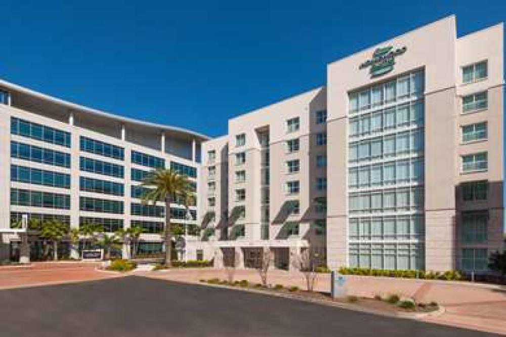 Homewood Suites By Hilton Tampa Airport - Westsho 1