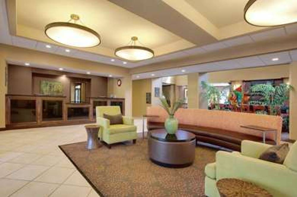 Homewood Suites By Hilton Tampa/Brandon, FL 5