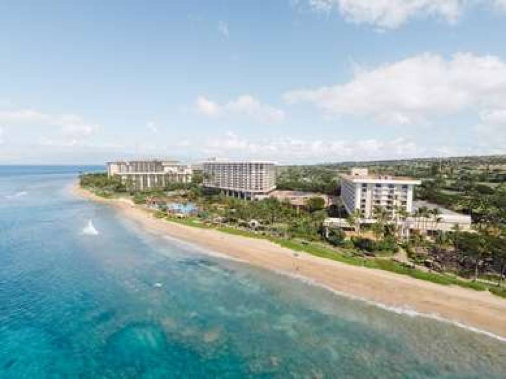 HYATT REGENCY MAUI RESORT AND SPA 6