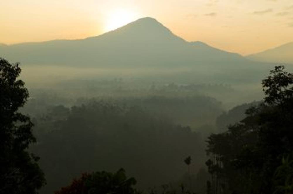 INTERCONTINENTAL DAGO PAKAR 9