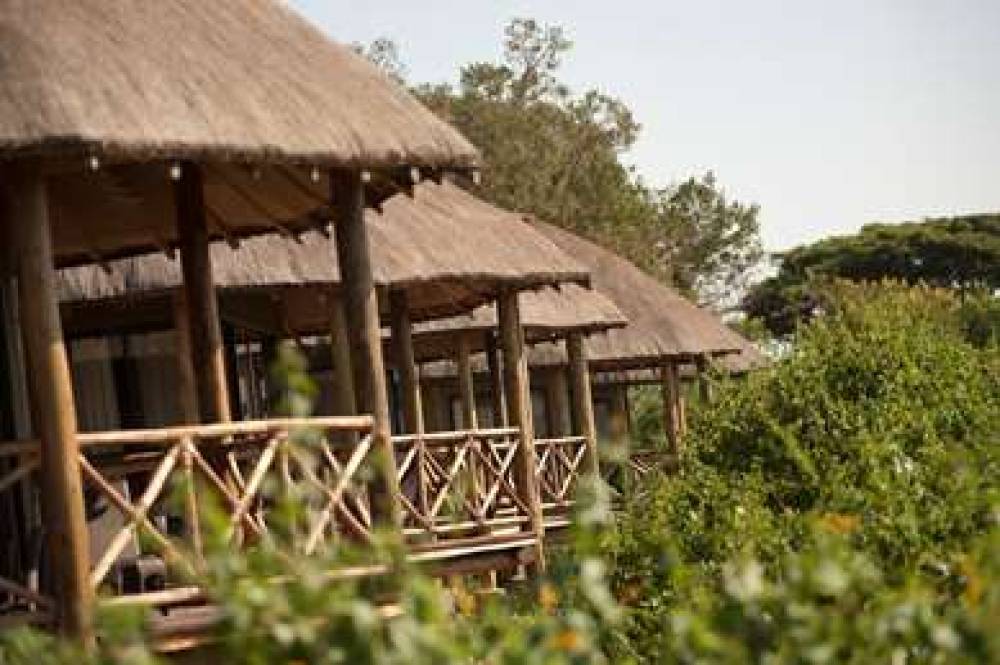 JAMBO IMPALA ECOLODGE 8