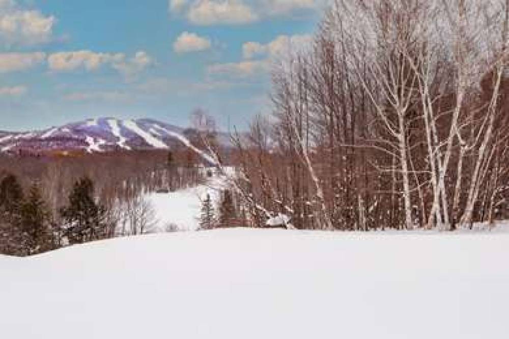 KILLINGTON MTN LODGE TAPESTRY HLTN 6