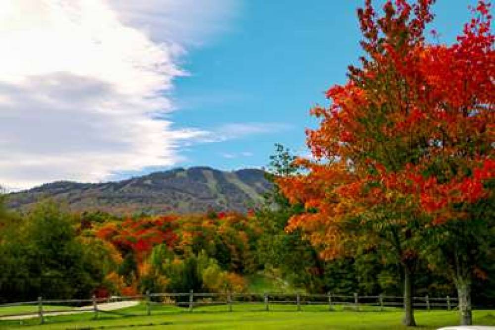 KILLINGTON MTN LODGE TAPESTRY HLTN 10