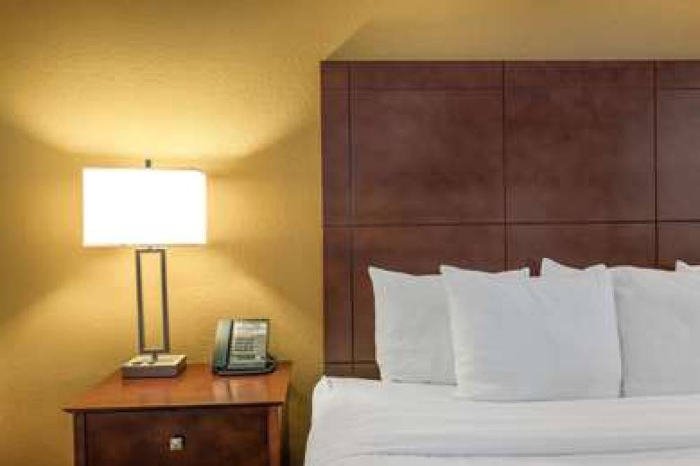 La Quinta Inn & Suites Castle Rock 9