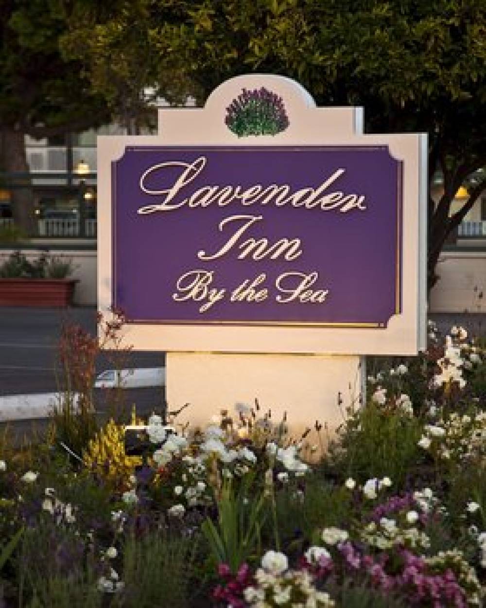 Lavender Inn By The Sea