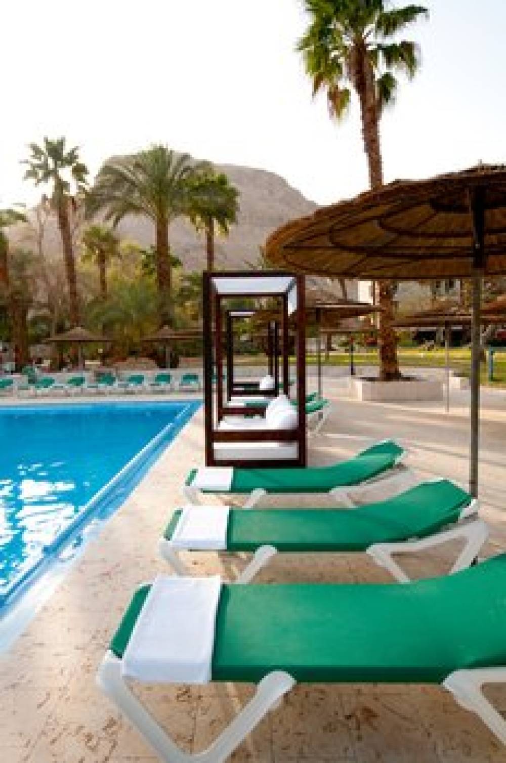 Leonardo Inn Hotel Dead Sea 10