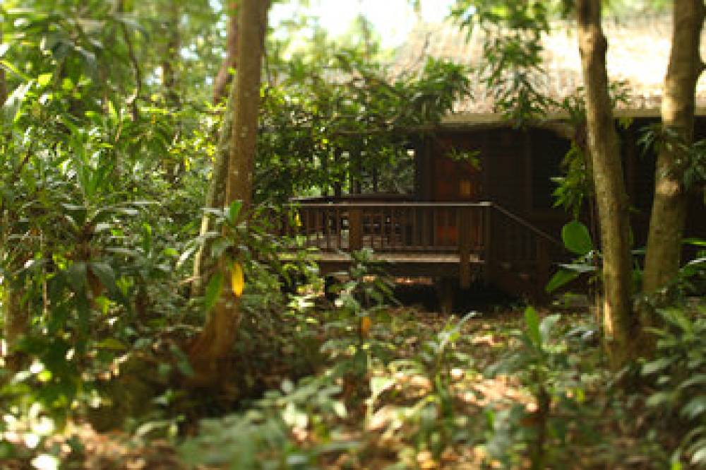 Lodge And Spa At Pico Bonito 8